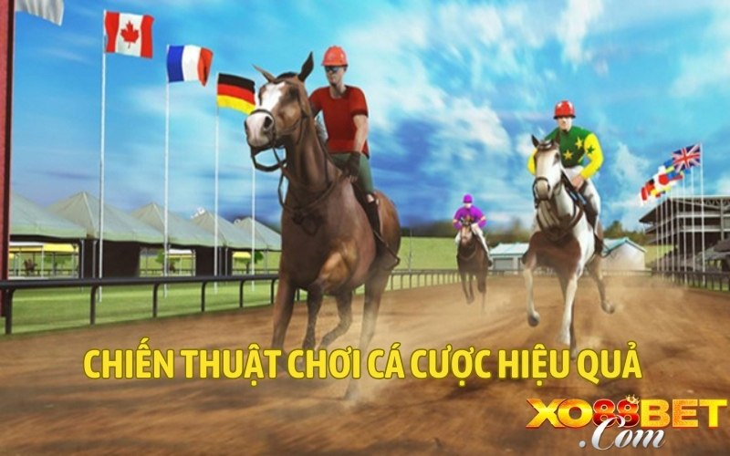 Chiến thuật chơi cá cược hiệu quả 