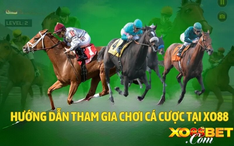 Hướng dẫn tham gia chơi cá cược tại XO88
