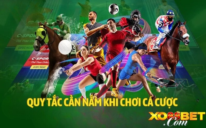 Quy tắc cần nắm khi chơi cá cược 