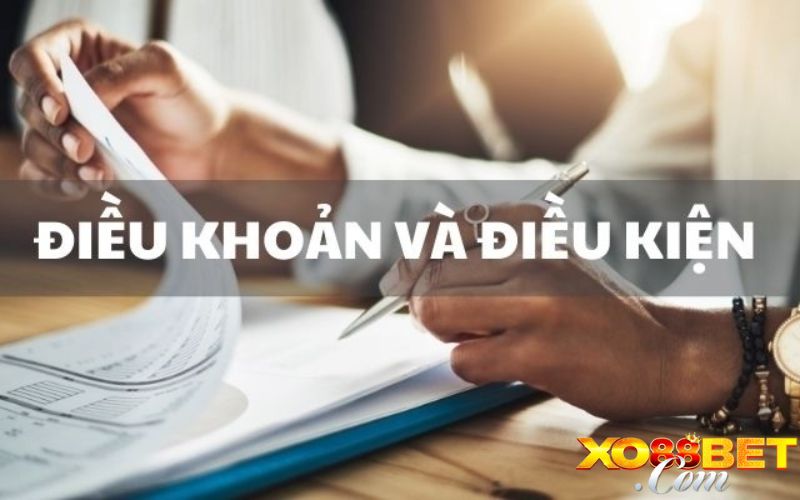 Điều kiện, điều khoản đăng ký