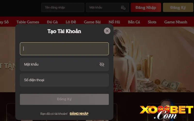 Cách thức truy cập sân chơi đình đám