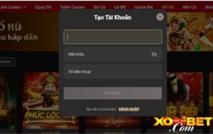 Hướng dẫn truy cập sân chơi đơn giản