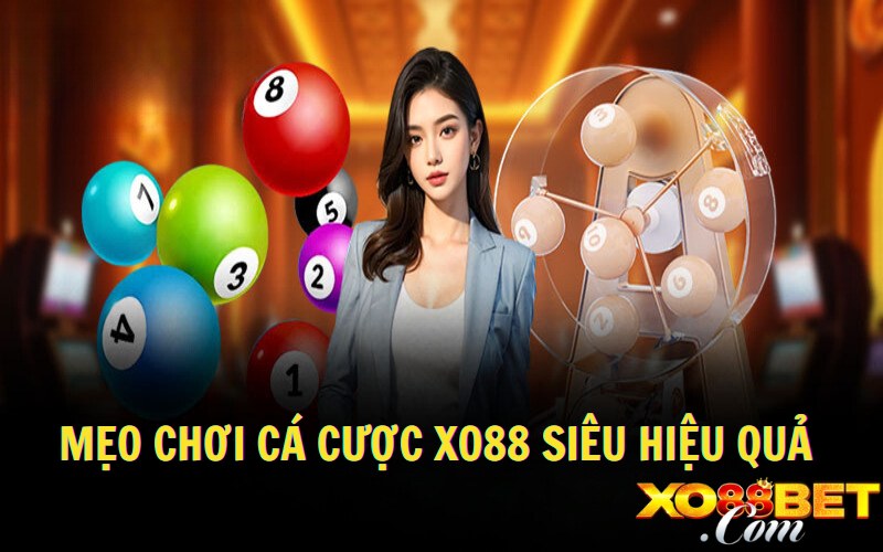 Mẹo chơi cá cược tại XO88 siêu hiệu quả Mẹo chơi cá cược tại XO88 siêu hiệu quả